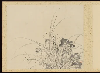 "Élégance raffinée aux quatre saisons" (Shiji seiga), album de peintures de fleurs