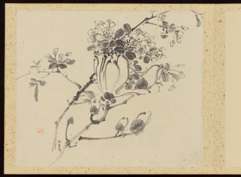 "Élégance raffinée aux quatre saisons" (Shiji seiga), album de peintures de fleurs