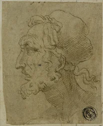 Tête masculine de profil