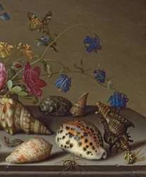 Fleurs, Coquillages et Insectes sur un Rebord de Pierre