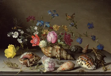 Fleurs, coquillages et insectes sur un rebord de pierre