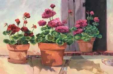 Geranium Series 2, c.1990-2005 (huile sur toile)