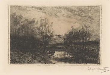 Fossé avec saules têtards