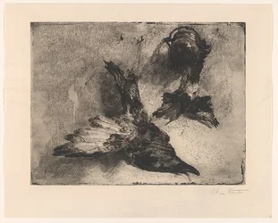 Deux oiseaux morts suspendus