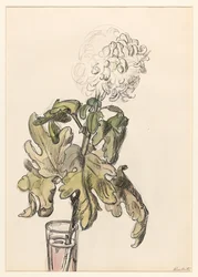 Chrysanthème en fleur, dans un vase