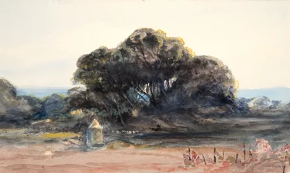 Paysage : Pin et petite tourelle