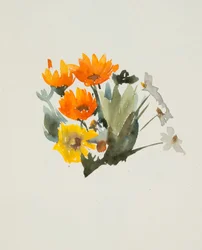 Fleurs oranges