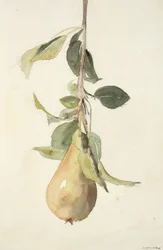Poire