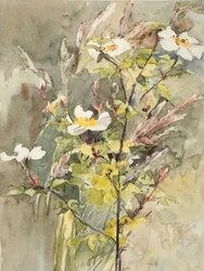 Fleurs sauvages