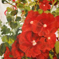 Fleurs d