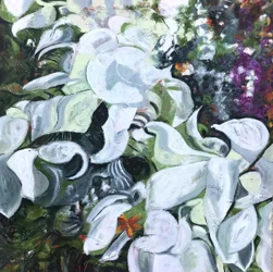 Papillon aux fleurs blanches
