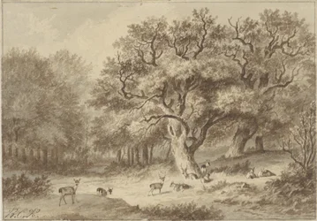 Paysage forestier avec des cerfs