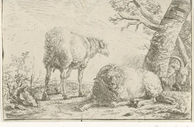 Deux moutons et une chèvre