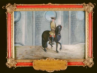 No. 17 Un cheval bai foncé de l