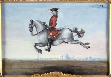 Un cheval gris pommelé de l