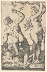 Apollon et Daphné, copie inversée