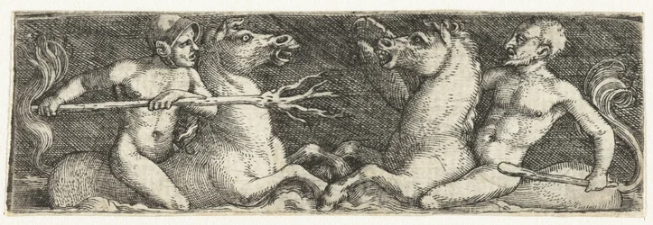 Deux tritons combattants