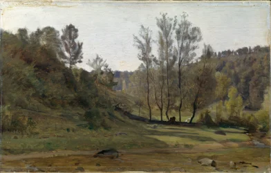 Ruisseau dans la prairie