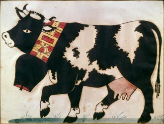 vache