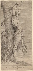 Saint Sébastien, attaché à un arbre