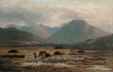 Tourbière, Letterfrack, Connemara