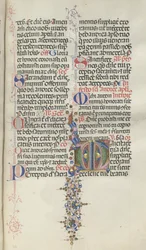 Missale : Fol. 260 : Feuillage avec fruits, 1469
