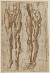 Deux études d