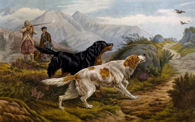 Chasse au tétras