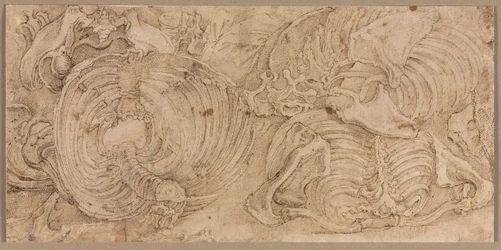 Cages thoraciques, début des années 1540