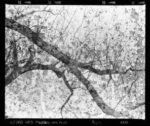 Texture d