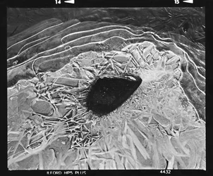Motifs de glace