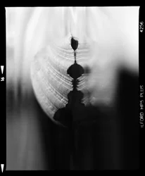 Vide abstrait organique