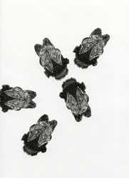 Réunion de Bourdons, 2013 (gravure sur bois sur papier)