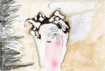Coucou, 2000
