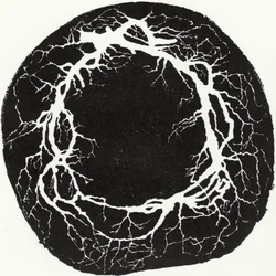 Couronne de racines, 2019