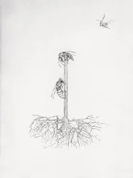 Arbre à guêpes