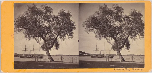 Saule. Planté par le Com. Perry et d