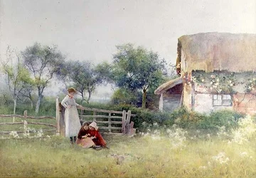 Cueillir des fleurs de prairie