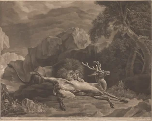 Le lion et le cerf