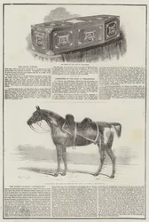 Duc de Wellington