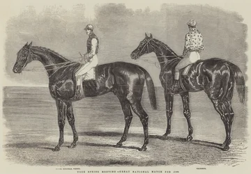 Réunion de printemps à York, Grand match national pour 1000 £