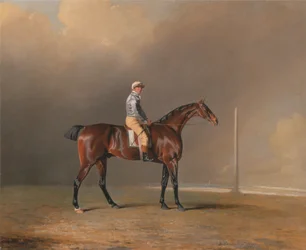 Diamond, avec Dennis Fitzpatrick Up