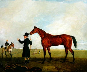 Emilius avec palefrenier