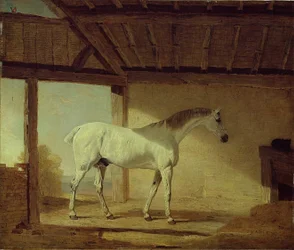 Le cheval du comte de Coventry