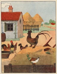 Illustration pour Chantecler de Benjamin Rabier