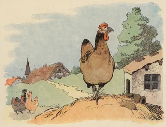 Illustration pour Chantecler par Benjamin Rabier