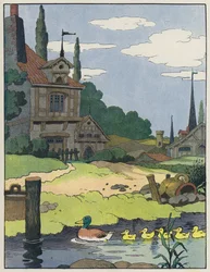 Canard colvert et ses canetons