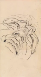 Étude du visage expressif d