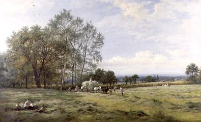 Un champ de foin anglais