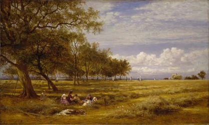 Un champ de foin anglais, 1878